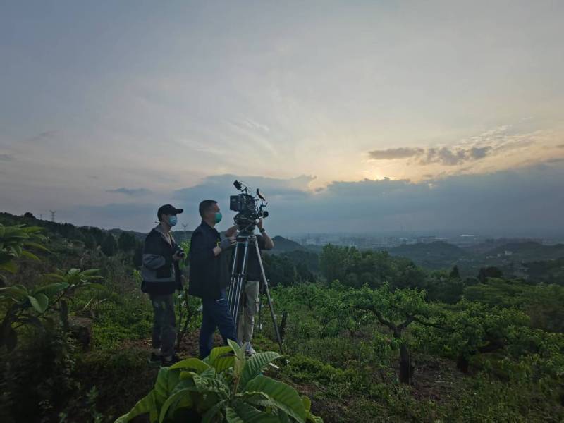 创意破圈！天河区电商产品宣传视频用故事化叙事引爆流量